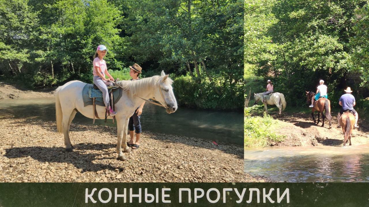 Tatarstan Guest House New Athos エクステリア 写真